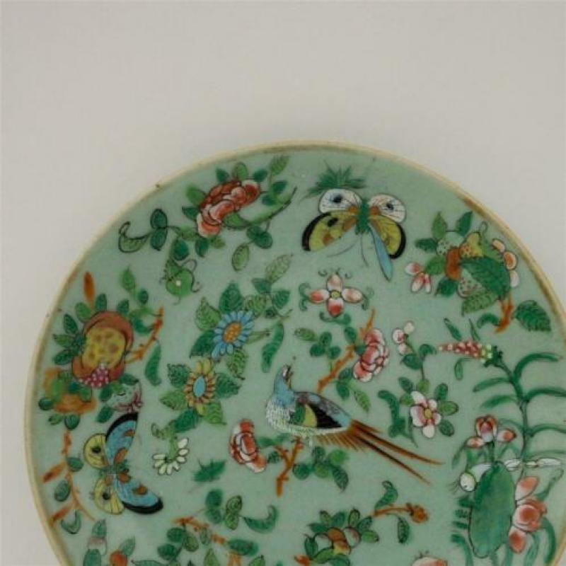 Chinees celadon bord famille rose - Vogel en drie vlinders