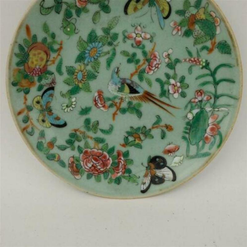 Chinees celadon bord famille rose - Vogel en drie vlinders