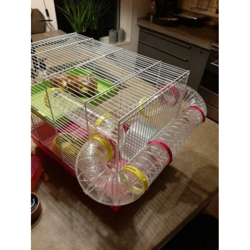 Hamster kooi of voor muisje oid