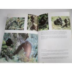 GORILLA'S in de mist door Dian Fossey