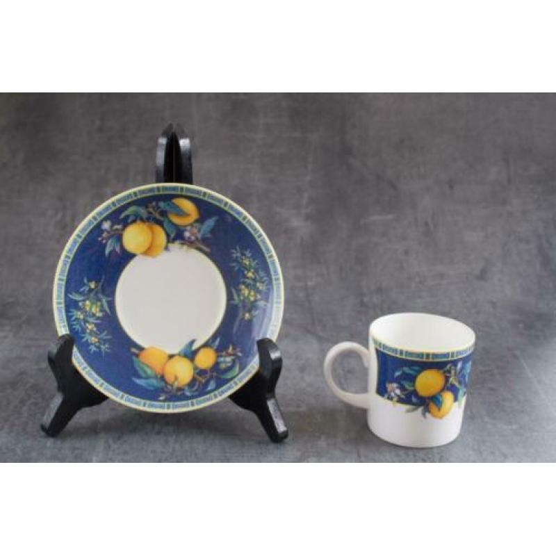 Schitterende Wedgwood Citrons kop en schotel