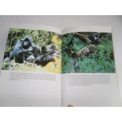 GORILLA'S in de mist door Dian Fossey