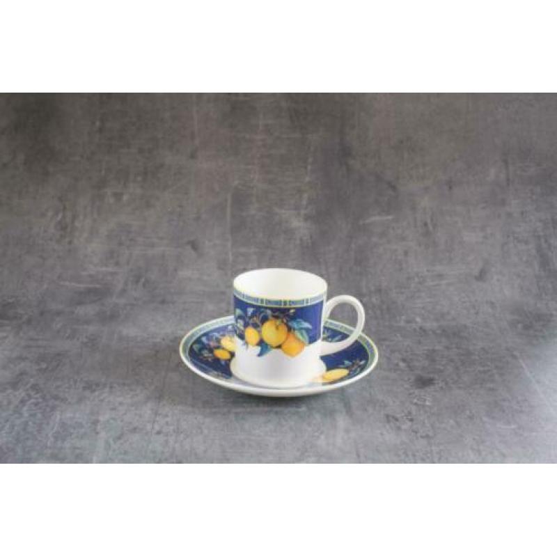 Schitterende Wedgwood Citrons kop en schotel