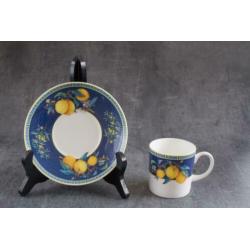 Schitterende Wedgwood Citrons kop en schotel