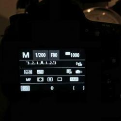 Canon EOS 6D Mark II body + Canon 24-70mm F/4.0 L IS USM