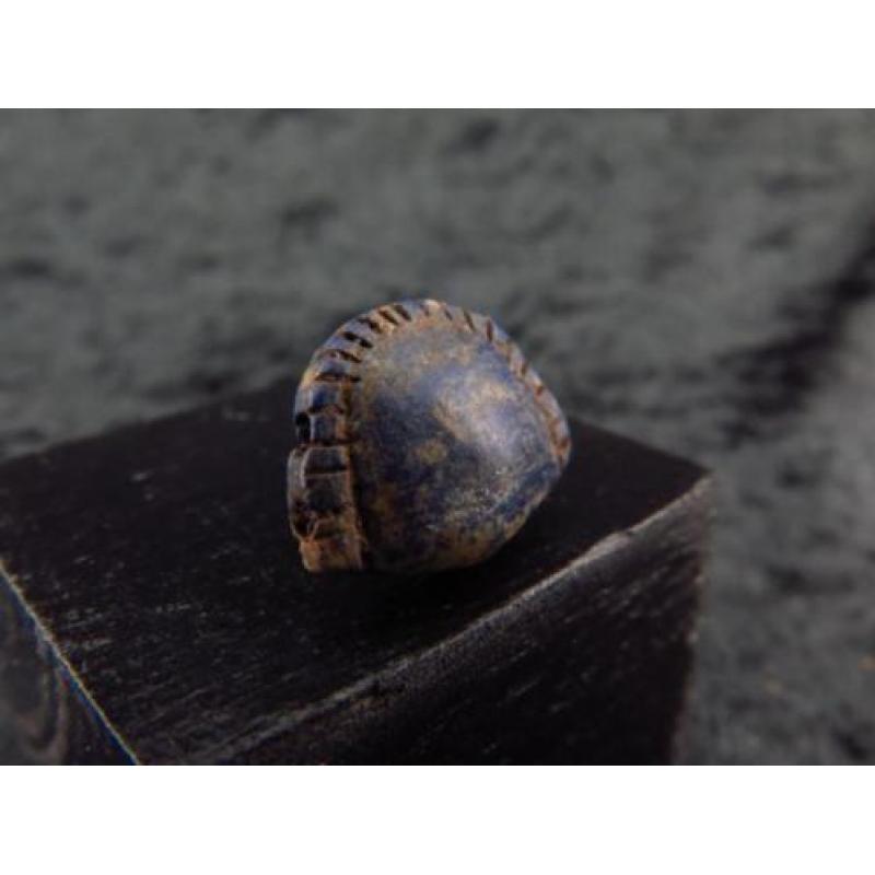 Egyptian Lapis Cowrie shell amulet