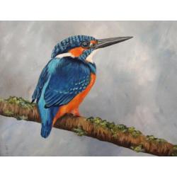 Schilderij ijsvogel 11 - eigen atelier - olieverf - vogels