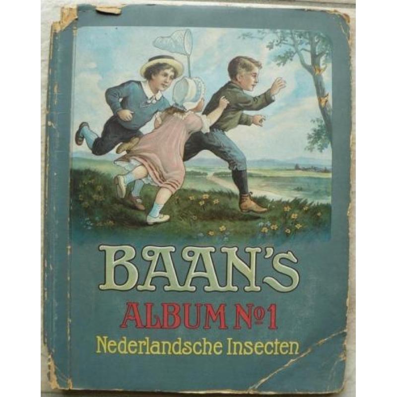 Plaatjesalbum van Nederlandse insecten 1915