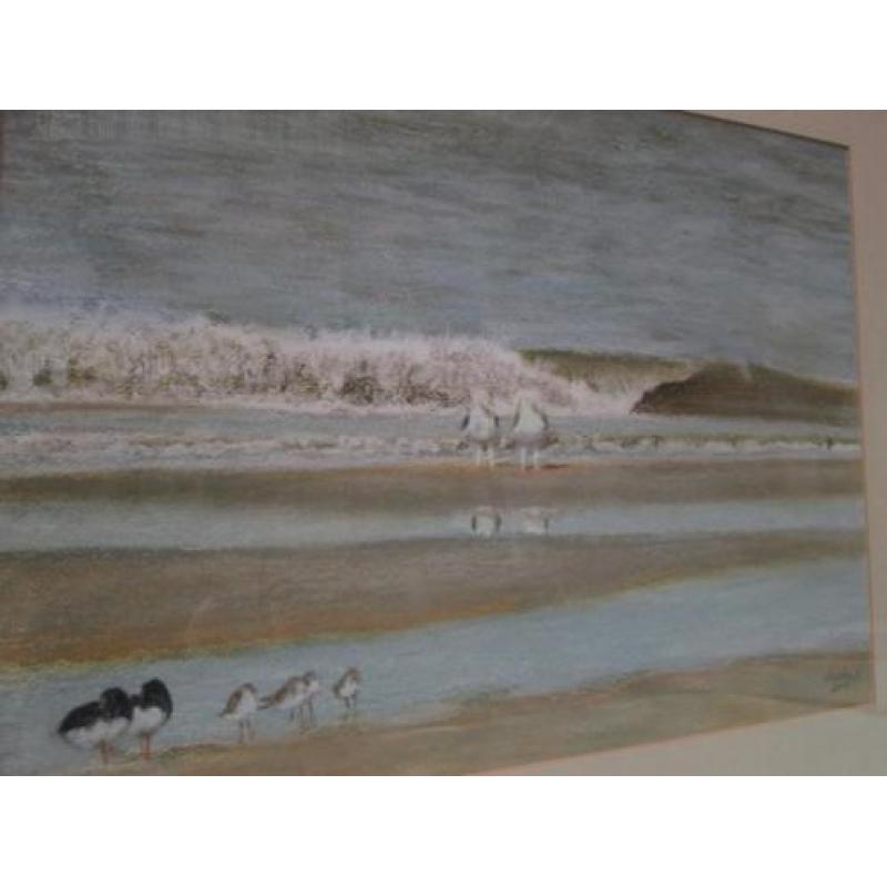 Prachtige Pastel Zee met Vogels - Christa Hoek 43 x 52,5