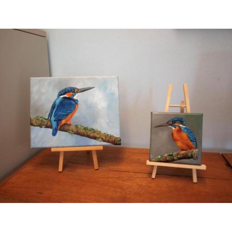 Schilderij ijsvogel 11 - eigen atelier - olieverf - vogels