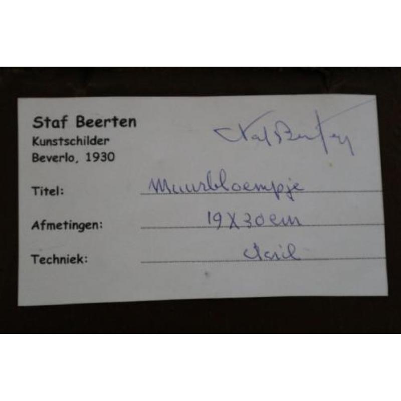 Staf Beerten, muurbloempje