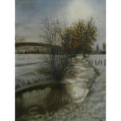 Winterlandschap met dichtgevroren beekje - landschap