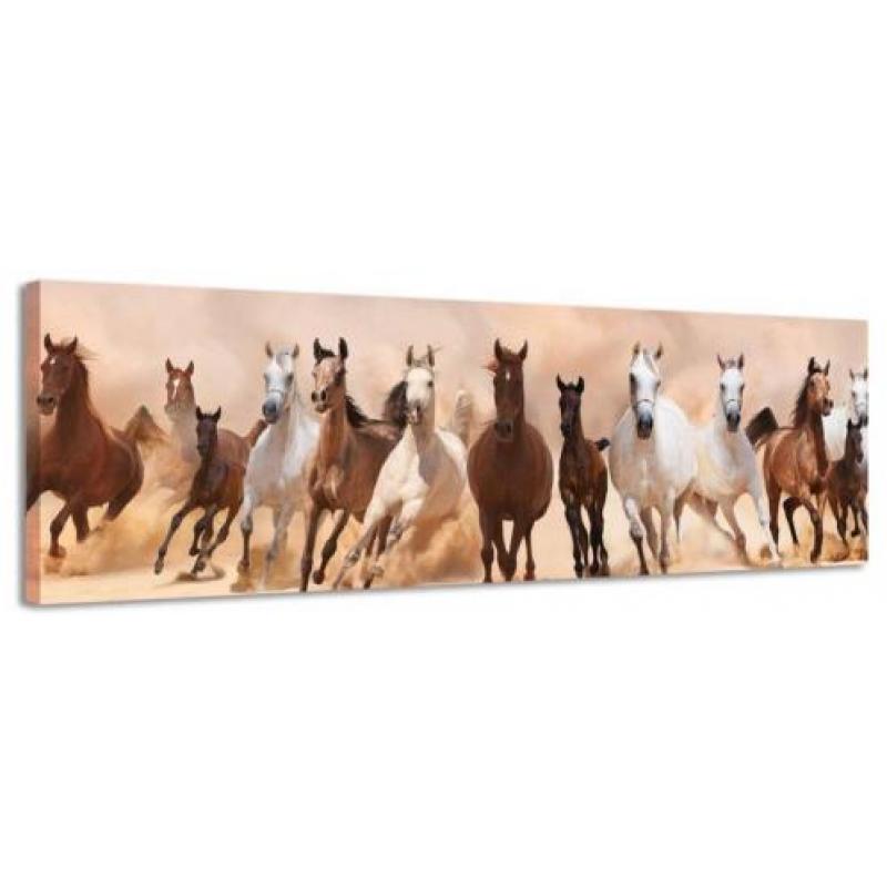 Diverse Canvas Panorama's - slechts EUR 49!